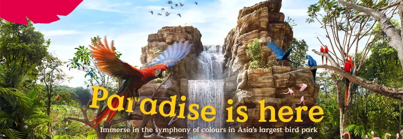 https://d1i3enf1i5tb1f.cloudfront.net/Tour-Images/false-508797/bird-paradise.jpg