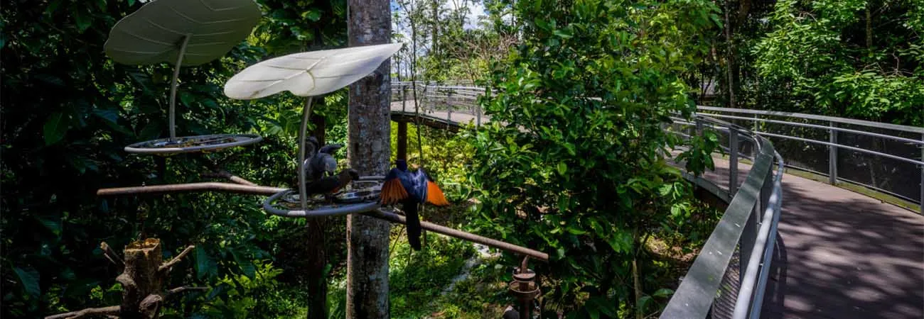 https://d1i3enf1i5tb1f.cloudfront.net/Tour-Images/false-508797/singapore-bird-paradise.jpg