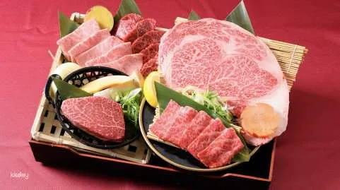 Hokkaido Gourmet｜Yakiniku BAR TAMURA｜Hokkaido Yakiniku Set Meal