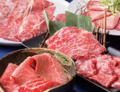 Hokkaido Gourmet | Niku Kappo Tamura Odori BISSE Branch | Hokkaido Wagyu BBQ Set Meal