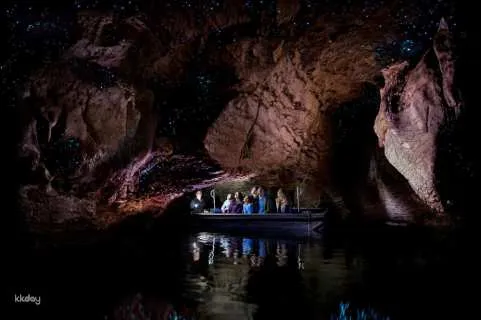 Te Anau Glowworm Caves Guided Tour | New Zealand