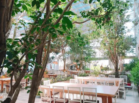 Yilan Vanilla Feifei | Tickets + DIY experience