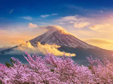 Mount Fuji Day Tour｜Mount Fuji 5th Station, Oshino Hakkai, Kawaguchiko Matcha Experience (Departing from Tokyo) [Chinese/English]