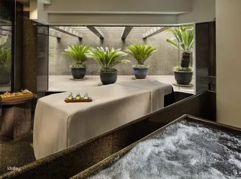 【Hotel SPA Offer 2025】Grand Hyatt Hong Kong｜Plateau Spa｜Spa Treatments