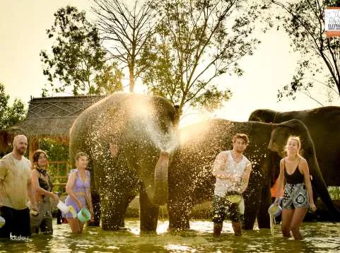 Pattaya Elephant Jungle Sanctuary Experience | Thailand