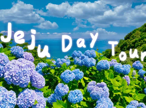 Jeju East Spring and Summer Flower Viewing Tour | South Korea
