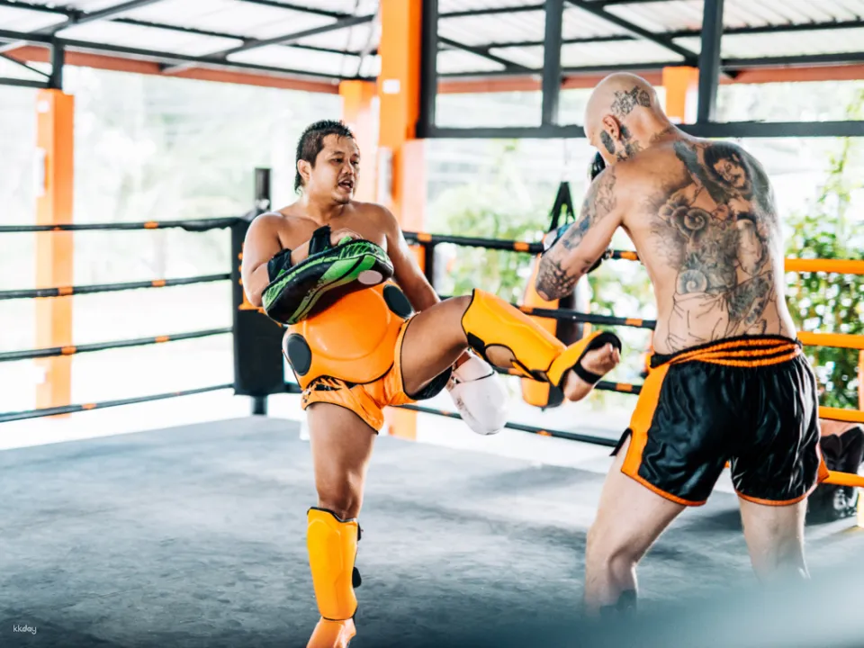 https://image.kkday.com/v2/image/get/w_960,c_fit,q_55,wm_auto/s1.kkday.com/product_262674/20241121084507_Ej7NK/png