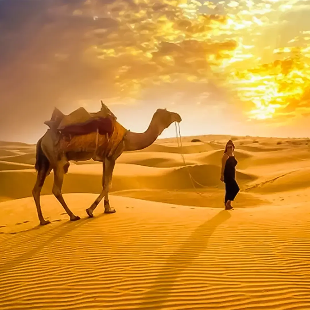 رحلة صباحية في الصحراء مع النقل