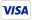 visa payment
